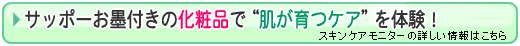 �X�L���P�A���j�^�[�̏ڂ������͂�����