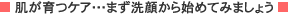 肌が育つケア…まず洗顔から始めてみましょう