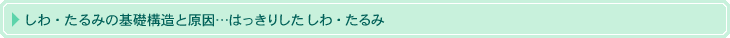 しわ・たるみの基礎構造と原因…はっきりしたしわやたるみ