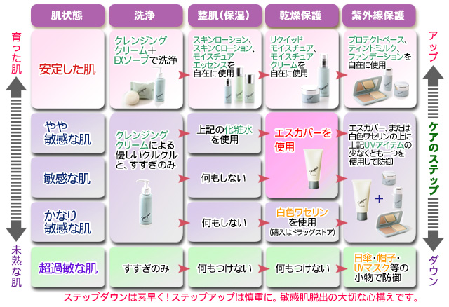 図表：肌が育つケア・スキンケアステップ