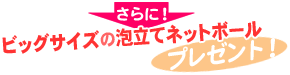 さらに！ビッグサイズの泡立てネットボールをプレゼント！